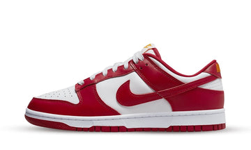 Nike Dunk low USC